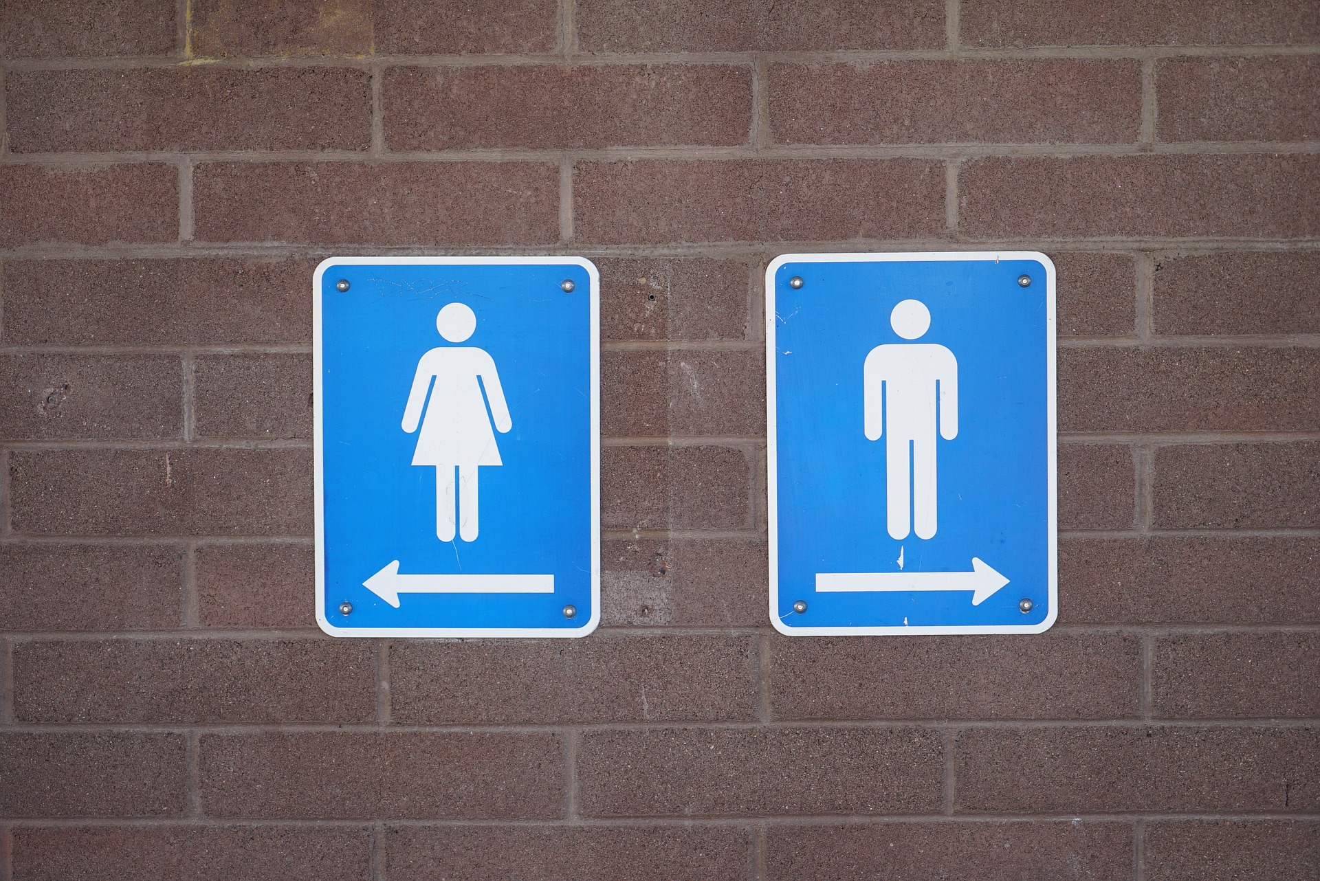 Utilização de banheiros públicos dignidade trans e não binária